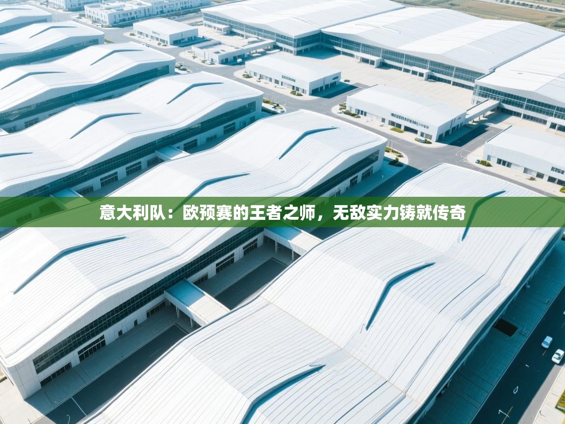 意大利队：欧预赛的王者之师，无敌实力铸就传奇  第1张