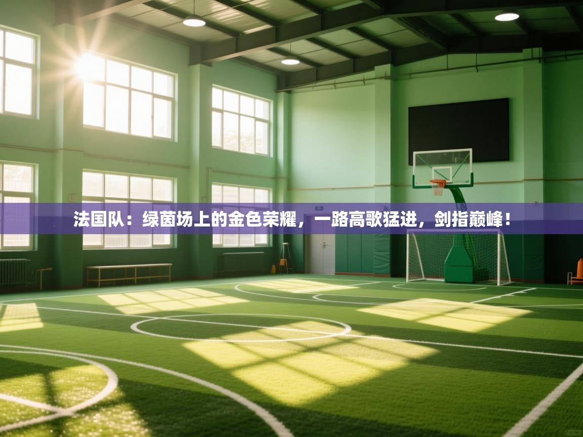 法国队：绿茵场上的金色荣耀，一路高歌猛进，剑指巅峰！  第1张